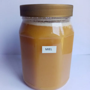 Miel pote plástico 500 grs.